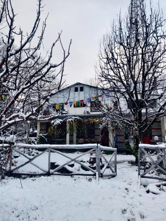 Mars Monkey Hostel & Cafe Маналі Екстер'єр фото